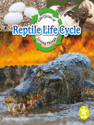cover image of Reptile Life Cycle